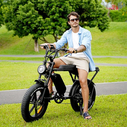 C80 20-Zoll-Fettreifen-Elektrofahrrad mit langer Ausdauer